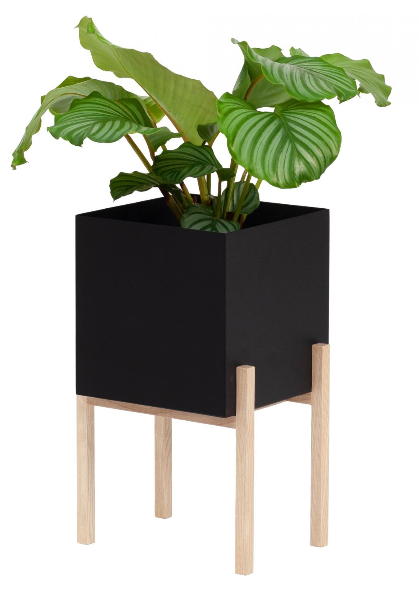 Botanic Flower Stand Blumenkasten Mittel Design House Stockholm  